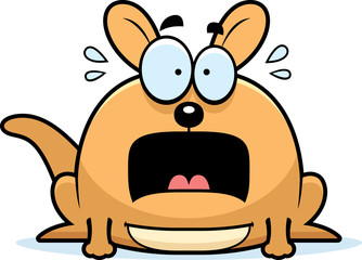 Terrified Little Kangaroo