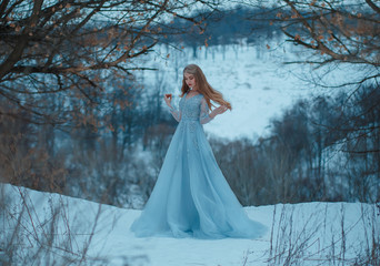 Lady in a luxury lush blue dress, fantastic shot, fairytale princess is walking in the winter forest