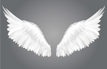 Plakat Wings. Vector illustration on grey background.