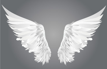 Fototapeta na wymiar Wings. Vector illustration on grey background.