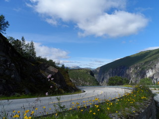 Road in Scandinavia