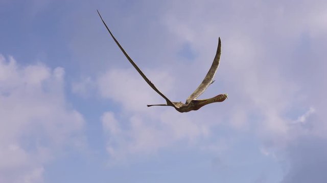 render realistic 3D dinosaur flying on sky background