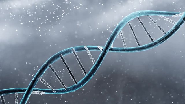 double helix of the DNA in blue background

