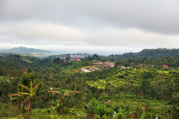 Panorama view on agricultural fields near Batur volcano, Kintamani. Winter rainy and cloudy season. Bali, Indonesia.