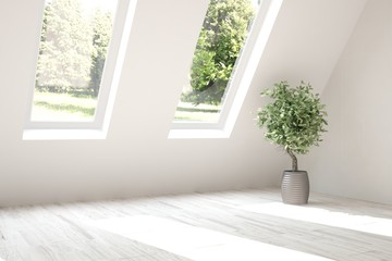 White empty room with flower