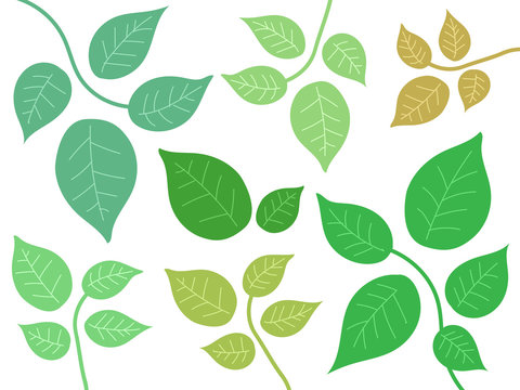 75 BEST 葉緑体 IMAGES, STOCK PHOTOS u0026 VECTORS  Adobe Stock