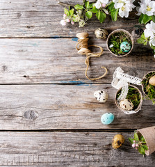 Colorful Easter quail eggs