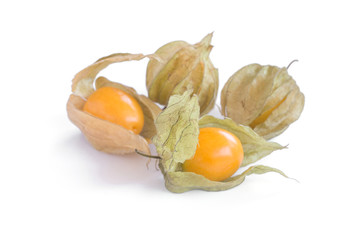 cape gooseberry (delicious physalis) fruit in close-up isolated