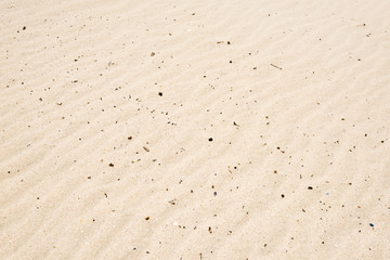 Fototapeta na wymiar Sand texture closeup