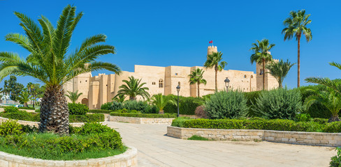 Behind the palms