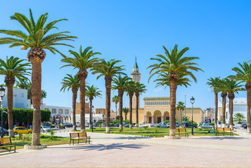 The square with palms