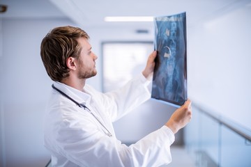 Male doctor examining x-ray in corridor - obrazy, fototapety, plakaty