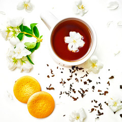 Tea cup with dried and fresh Jasmine flowers and cookies