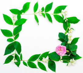 Wreath of pink tea rose and jasmine flowers and leaves