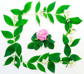 Wreath of pink tea rose and jasmine flowers