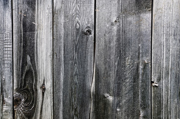 texture of the old rotten wooden fence