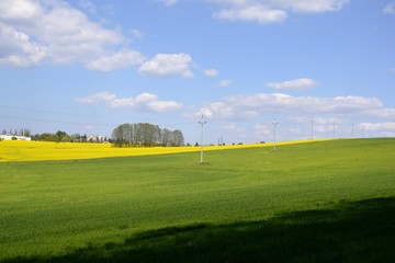 Fototapeta premium Electrical poles with a green field and cloudy sky