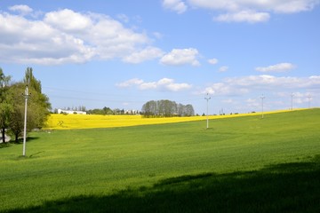 Fototapeta premium Electrical poles with a green field and cloudy sky