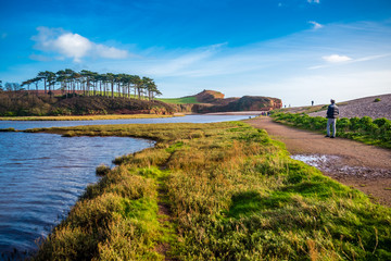 Obraz premium Otter Estuary at Budleigh
