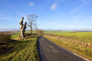 sunny winter farming landscape