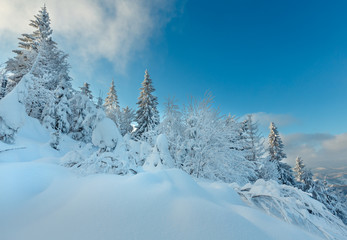Fototapeta na wymiar Winter Ukrainian Carpathian Mountains landscape.