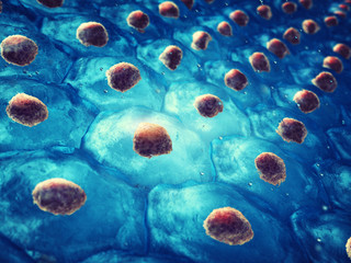 Embryonic stem cell colony , Cellular therapy , Regeneration and disease treatment  © nobeastsofierce