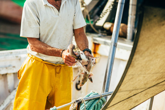 Man Holding Small Fish