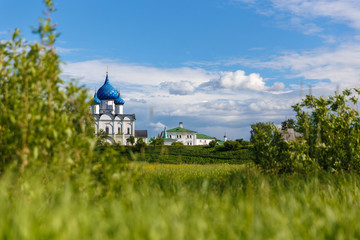 Summer landscape with green grass meadow and a view of the Suzdal Kremlin