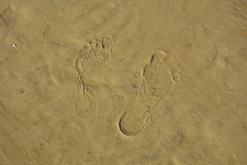 Fototapeta na wymiar human footprint in the sand on the seashore