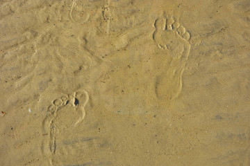 Fototapeta na wymiar human footprint in the sand on the seashore