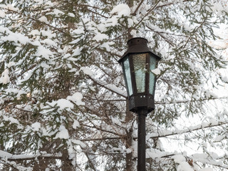 Street lamp among the trees covered with snow in the park