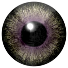 Realistic colorful eye iris texture