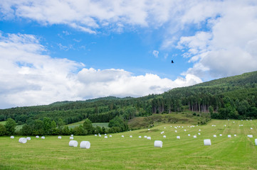 R&eacute;colte de la paille