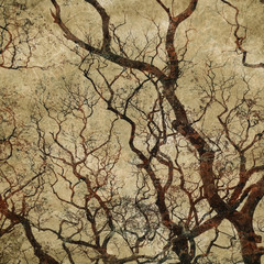 grunge background with tree silhouettes
