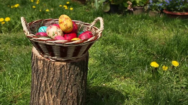 Easter eggs on the log