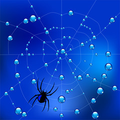 Spider on the web in dew drops. Vector Illustration