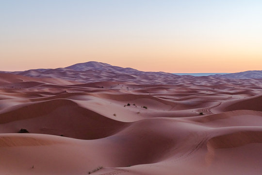 desert sand
