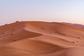 Fototapeta na wymiar desert sand 