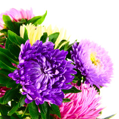 Bouquet of asters