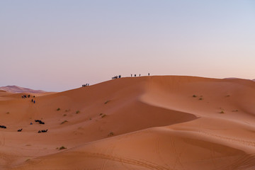 Plakat desert sand 