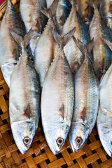Streamed mackerel in bamboo basket.