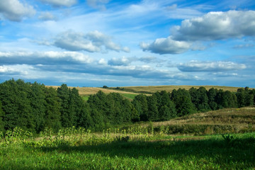 Landscape sky, forest, hills, sunflowers.
