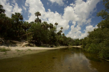 Peace river in Central Florida