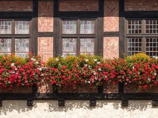 Fototapeta na wymiar Flowers at the windows at Wernigerode, Germany, EU