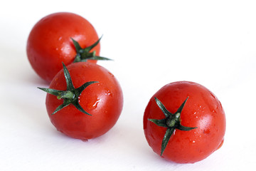 Tomates 