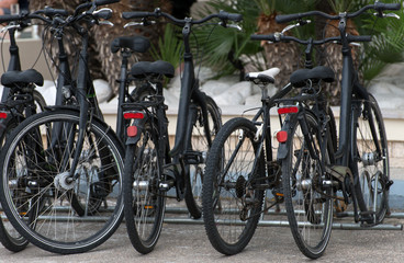 Fototapeta na wymiar Bicycles on the street. Bike rental service.