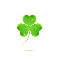 St. Patrick`s three leaf clover. Realistic shamrock with water drops