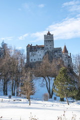Fototapeta na wymiar castello di bran 2