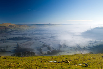 Group of Sheep Grazing Grass on a Hill. Early morning fog in background. Winnats Pass, Peak District National Park, UK.