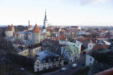 Fototapeta premium Tower and old building in Tallinn